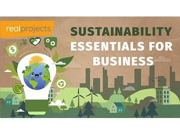 Sustainability Essentials for Business