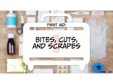 First Aid: Bites, Cuts, and Scrapes