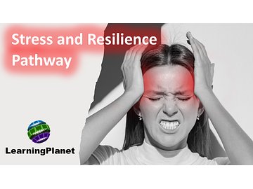 Stress and Resilience Pathway
