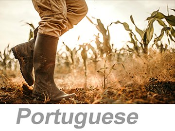 Personal Protective Equipment (PPE): Foot and Leg Protection (Portuguese) Equipamentos de Proteção Individual (EPI): proteção para pés e pernas