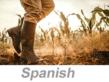 Personal Protective Equipment (PPE): Foot and Leg Protection (Spanish) Equipo de protección personal (EPP): Protección para pies y piernas