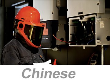 Personal Protective Equipment (PPE): Electrical Protection (Chinese) 个人防护装备 (PPE)：电气防护装备