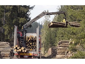 Commercial Motor Vehicle - Cargo Securement: Special Considerations