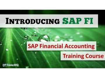 Introduction To SAP Financial Accounting 